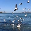 লতা আক্তার